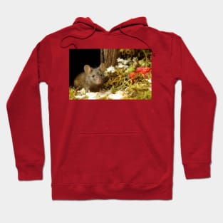 Wild  cute garden mouse Hoodie